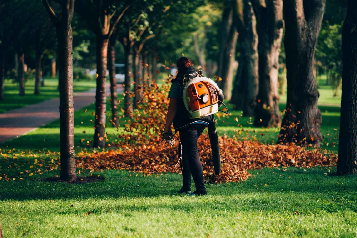 Best Professional Tree Care  in Sugarmill Woods, FL